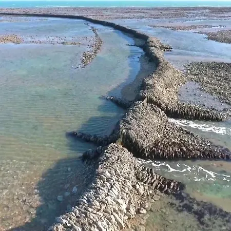 Les Pieds Dans L'eau Acces Direct A La アパート *