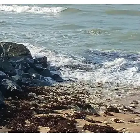 Les Pieds Dans L'eau Accés Direct à La La Cotinière