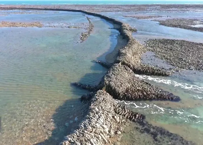 Les Pieds Dans L'eau Acces Direct A La Apartment *