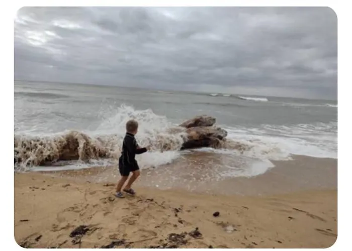 Apartment Les Pieds Dans L'eau Acces Direct A La *