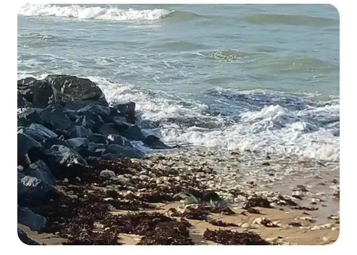 Les Pieds Dans L'eau Acces Direct A La La Cotiniere