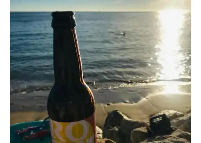 Les Pieds Dans L'eau Acces Direct A La * La Cotiniere