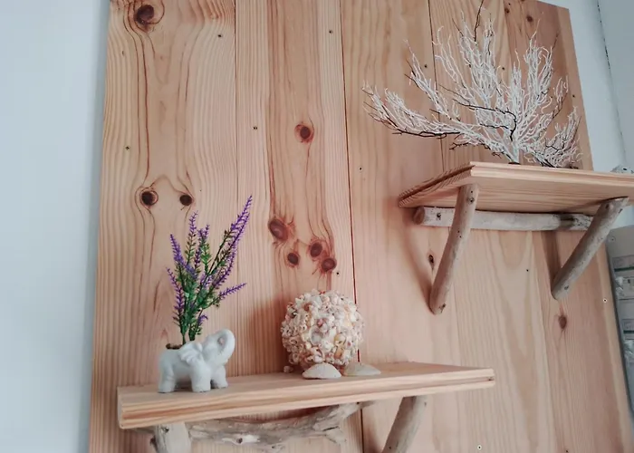 Apartment Les Pieds Dans L'eau Acces Direct A La *